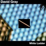 67-David White - White Ladder