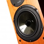 1 proac woofer