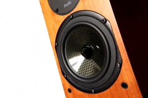 1 proac woofer